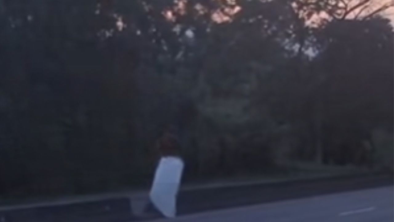 ¿Real? Graban a extraña figura vestida de blanco caminando a la orilla de la CA-5 Imagen principal de ¿Real? Graban a extraña figura vestida de blanco caminando a la orilla de la CA-5