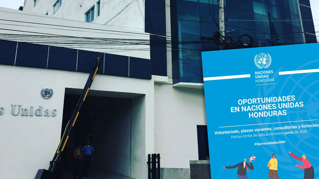 Imagen de ¿Busca empleo? La ONU abre plazas de trabajo para hondureños: así puede aplicar
