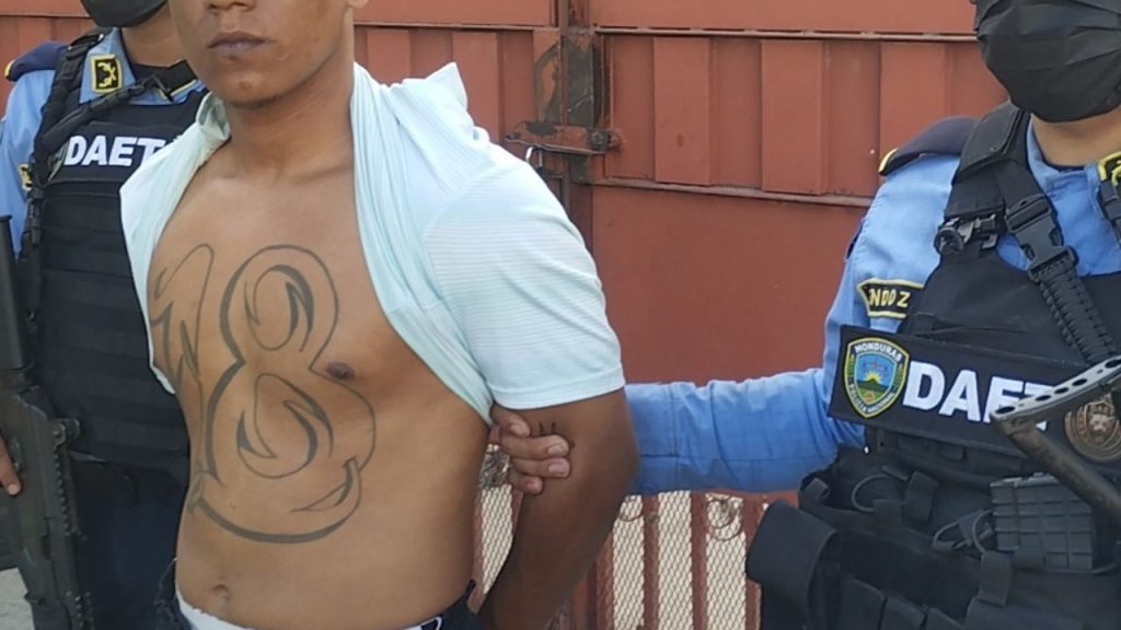 Imagen de cuerpo de nota