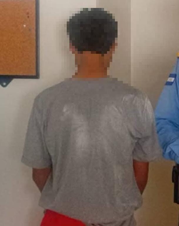 Imagen de cuerpo de nota