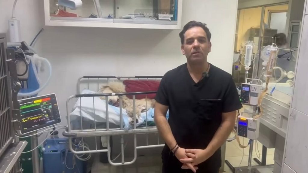 Imagen de cuerpo de nota