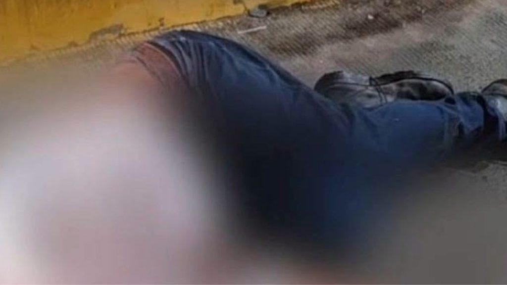 Imagen de cuerpo de nota