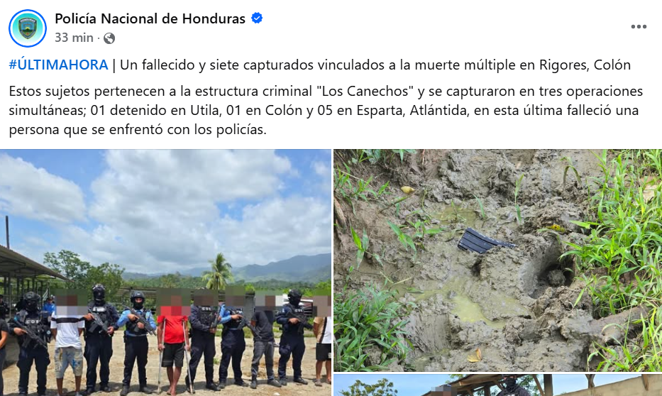 Captura de pantalla de la publicación
