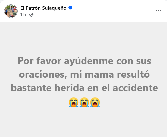 Captura de pantalla de la publicación