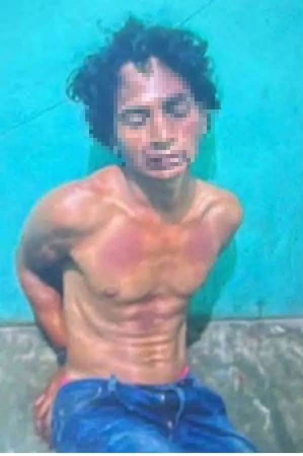 Imagen de cuerpo de nota