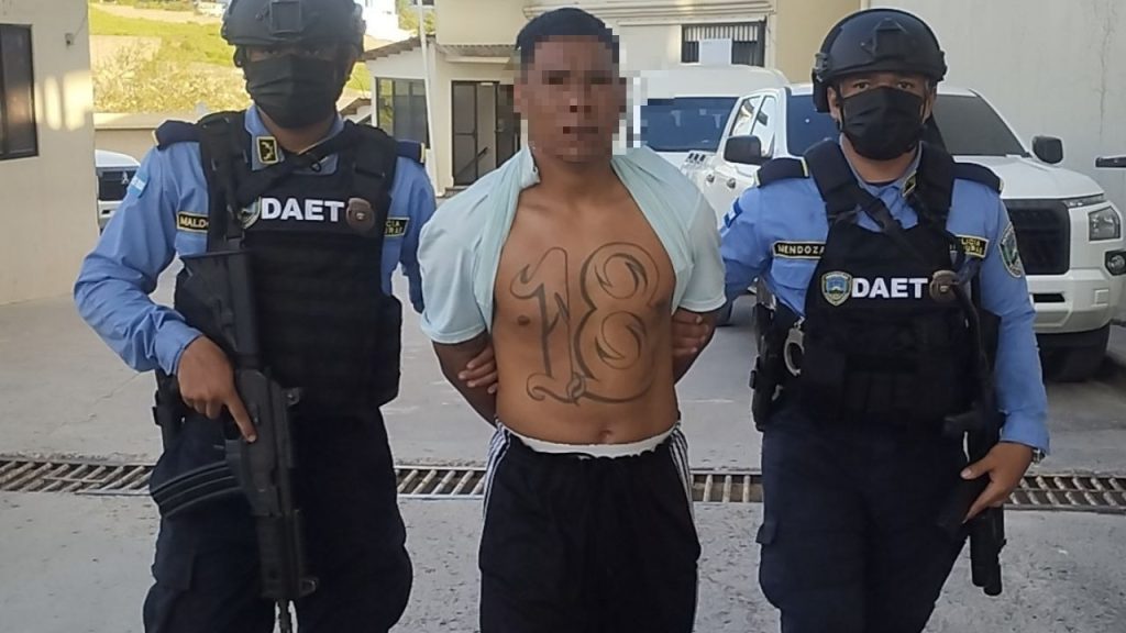 Imagen de cuerpo de nota
