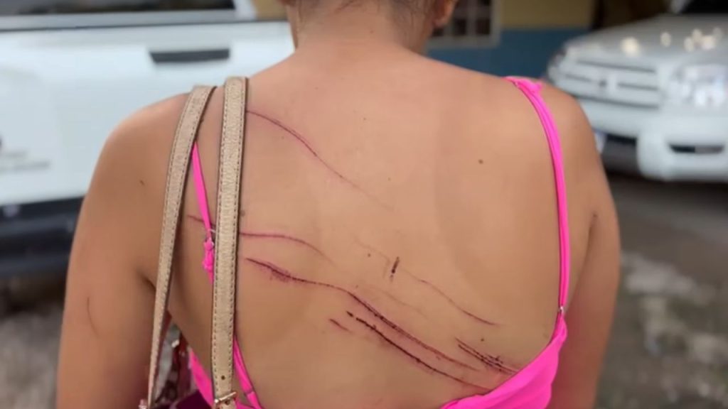 Imagen de cuerpo de nota