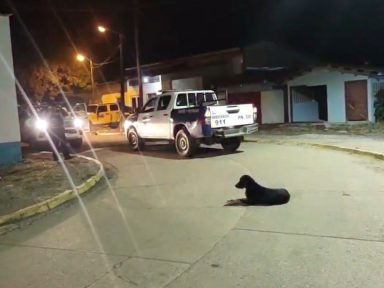 Imagen de Matan a niño de cuatro años en El Progreso; dejan heridos a su madre y abuelo
