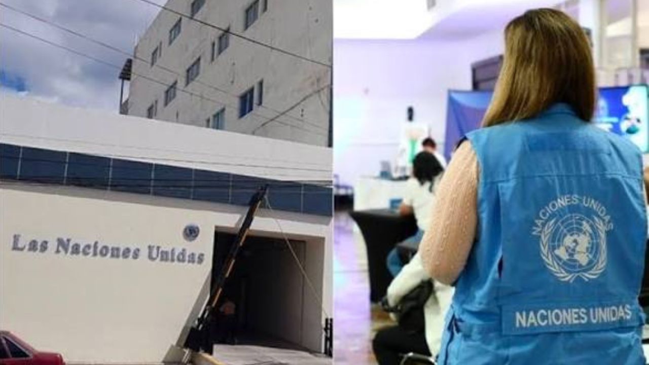 ONU Honduras ofrece plazas, pasantías y voluntariados; requisitos y fechas límite Imagen principal de ONU Honduras ofrece plazas, pasantías y voluntariados; requisitos y fechas límite