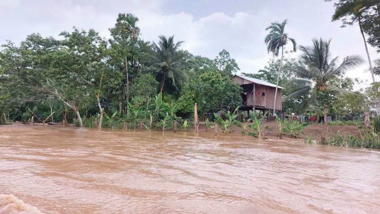 Copeco declara alerta verde en estas zonas de Honduras por lluvias de onda tropical Imagen principal de Copeco declara alerta verde en estas zonas de Honduras por lluvias de onda tropical