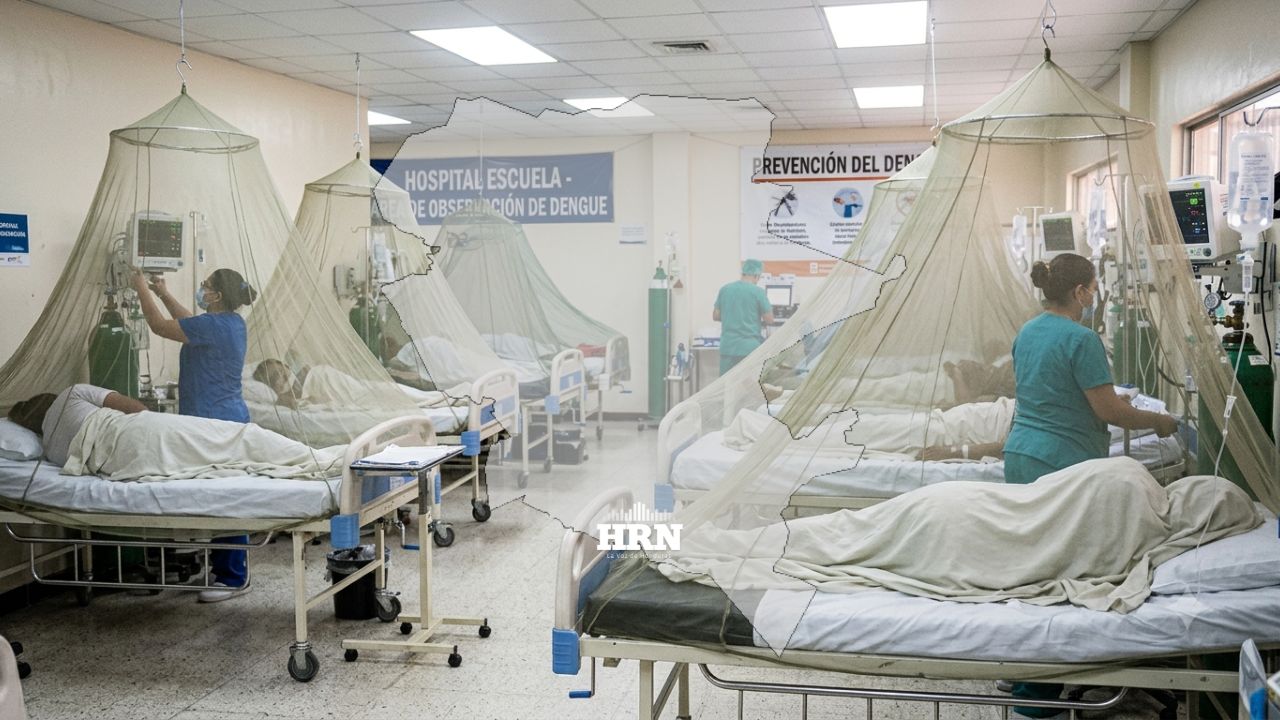 Alerta en el DC: estas son las colonias más afectadas por el dengue, según Sesal Imagen principal de Alerta en el DC: estas son las colonias más afectadas por el dengue, según Sesal
