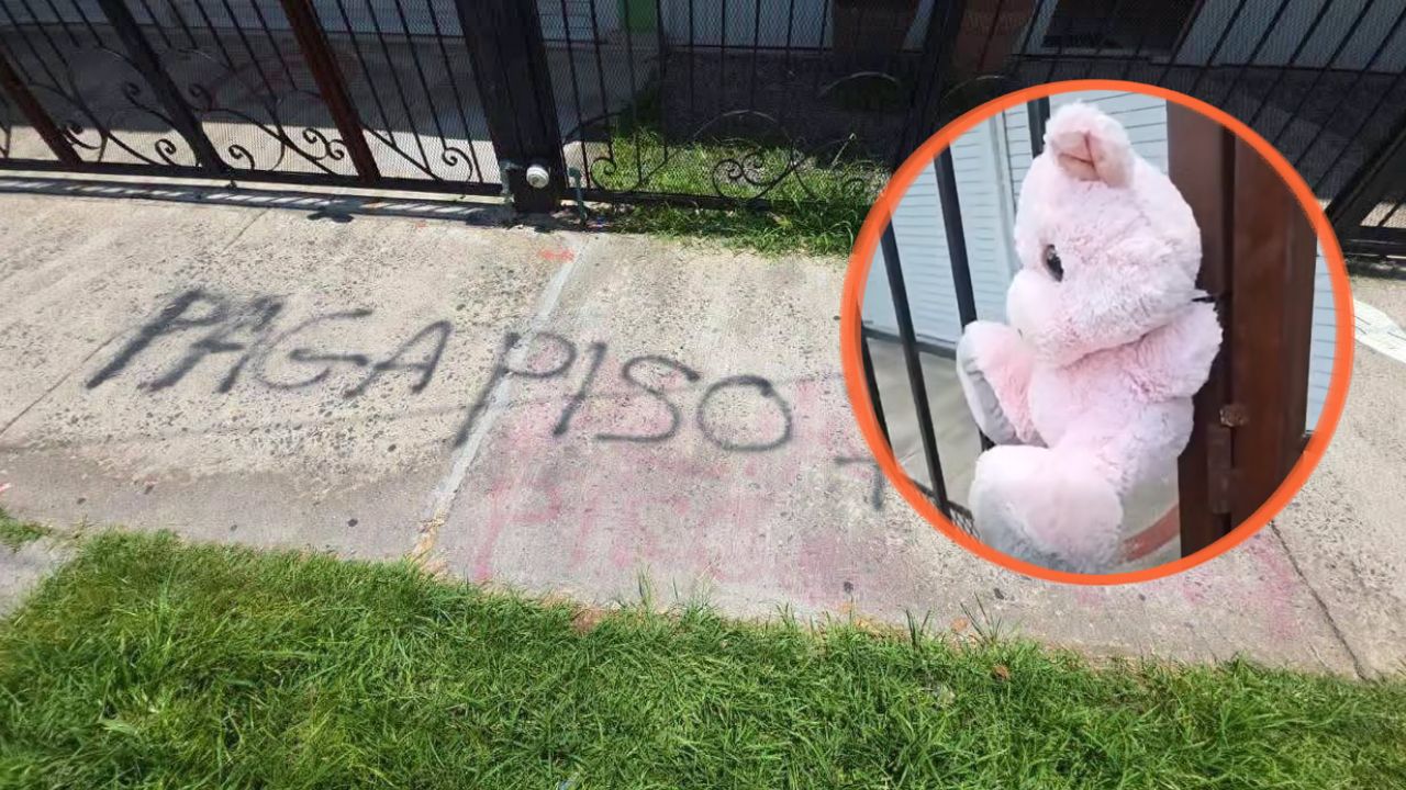Presuntos extorsionadores de 'La Pepa' exigían dinero y dejaban amenazas en peluches Imagen principal de Presuntos extorsionadores de 'La Pepa' exigían dinero y dejaban amenazas en peluches