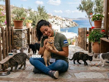 Imagen de Grecia busca voluntarios para cuidar gatos en una isla: requisitos y beneficios