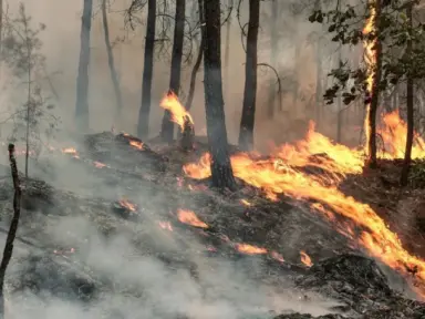 Imagen de Incendios en España y Francia obligan a evacuar a casi 270 mil personas
