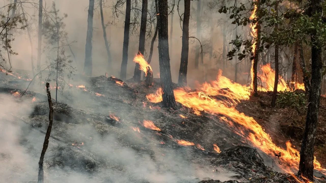 Incendios en España y Francia obligan a evacuar a casi 270 mil personas Imagen principal de Incendios en España y Francia obligan a evacuar a casi 270 mil personas