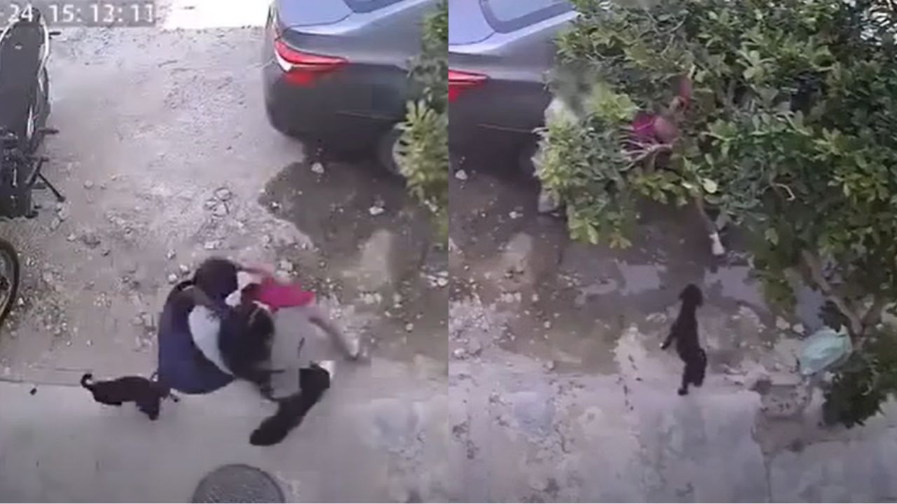 '¡Ayuda, ayuda!': vecinos frustran intento de rapto de niña que jugaba en la calle Imagen principal de '¡Ayuda, ayuda!': vecinos frustran intento de rapto de niña que jugaba en la calle