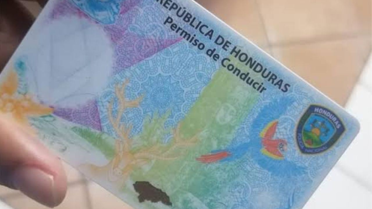 DNVT confirma entrega de licencias físicas en Honduras: ¿quiénes pueden reclamarla y cuándo? Imagen principal de DNVT confirma entrega de licencias físicas en Honduras: ¿quiénes pueden reclamarla y cuándo?
