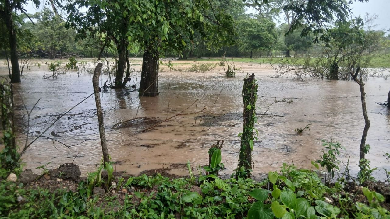 Onda tropical ya deja daños en Olancho y más lluvias amenazan estas zonas Imagen principal de Onda tropical ya deja daños en Olancho y más lluvias amenazan estas zonas