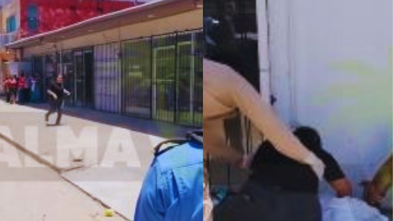 Conmovedor video: perro permaneció junto al cuerpo de su dueña ultimada en Colón Imagen principal de Conmovedor video: perro permaneció junto al cuerpo de su dueña ultimada en Colón