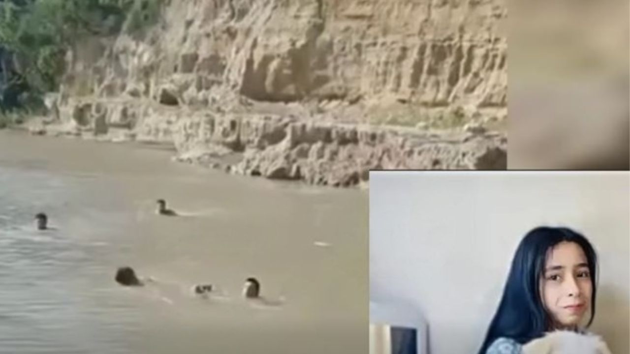 '¡Dios mío!': graban dramático momento tras la muerte de jovencita en río de Copán Imagen principal de '¡Dios mío!': graban dramático momento tras la muerte de jovencita en río de Copán