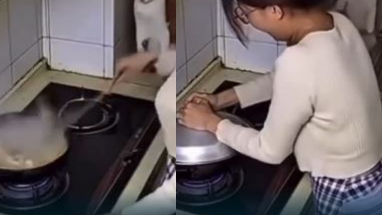 VIDEO: Serpiente sorprende a mujer mientras cocinaba, cayó directo a la olla Imagen principal de VIDEO: Serpiente sorprende a mujer mientras cocinaba, cayó directo a la olla