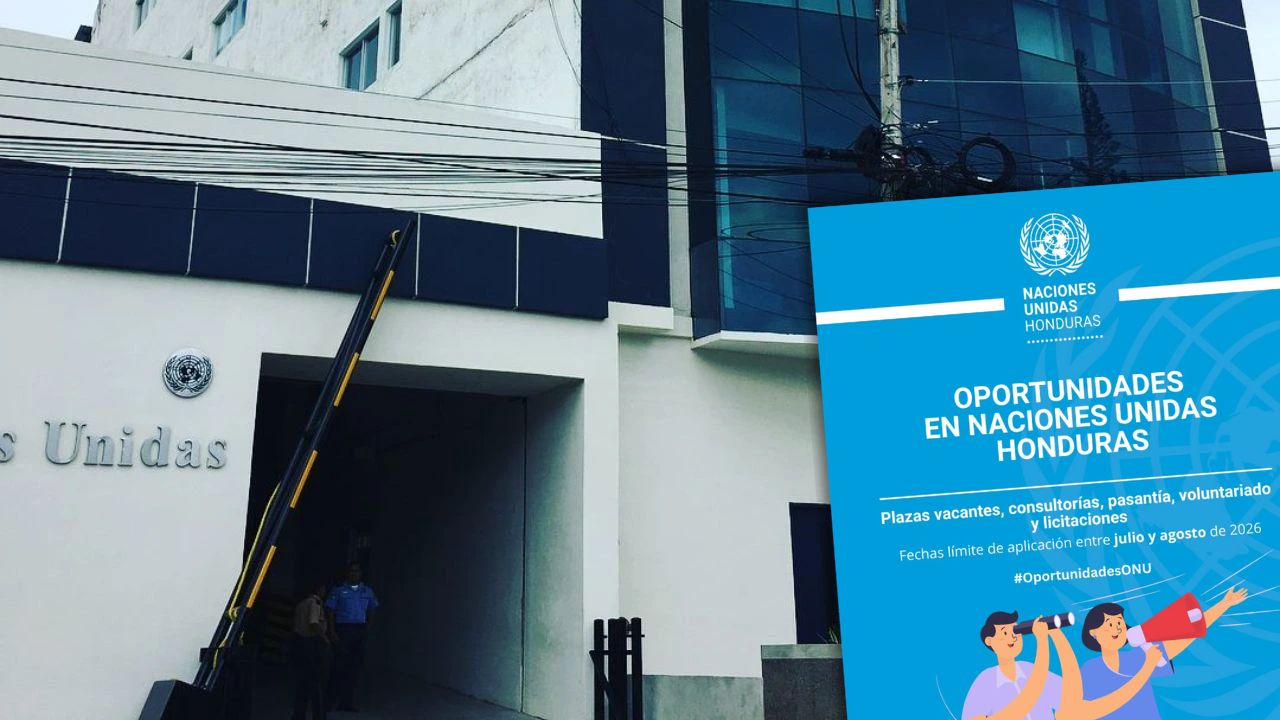 ONU anuncia nuevas vacantes para hondureños: plazas, fechas y cómo aplicar Imagen principal de ONU anuncia nuevas vacantes para hondureños: plazas, fechas y cómo aplicar