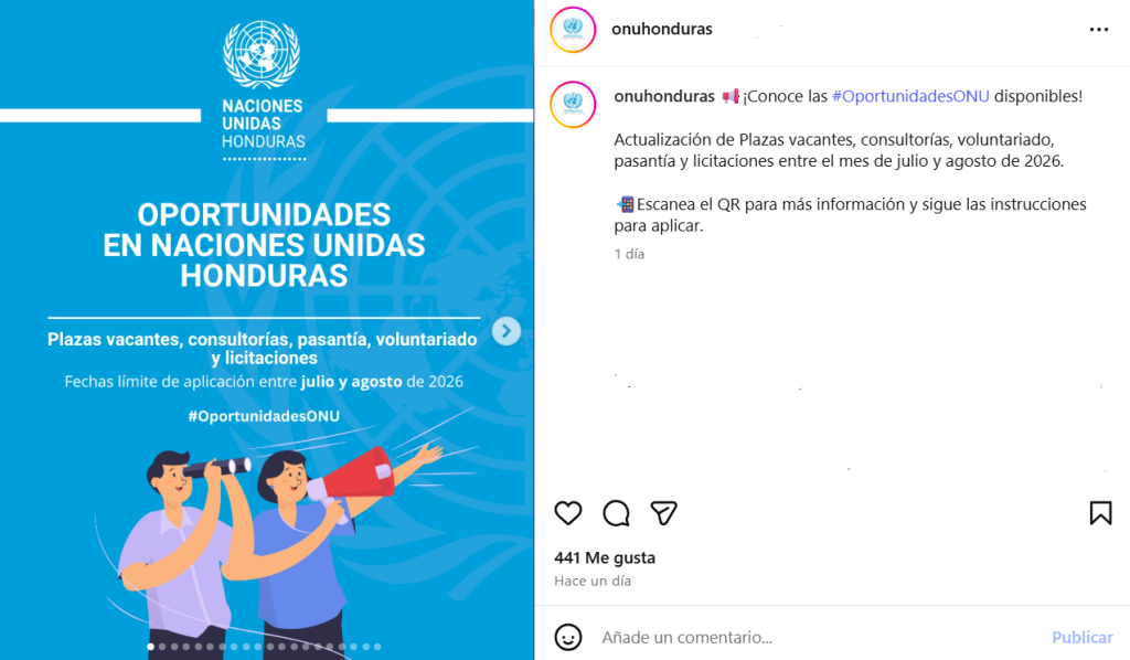 Captura de pantalla de la publicación