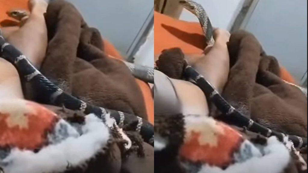 Imagen de cuerpo de nota