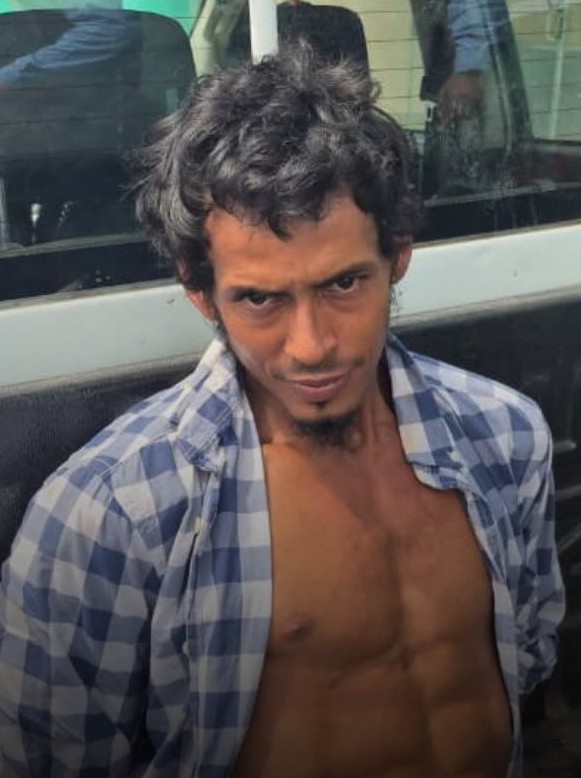 Imagen de cuerpo de nota