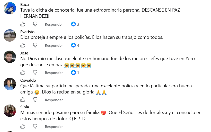 Captura de pantalla de los comentarios