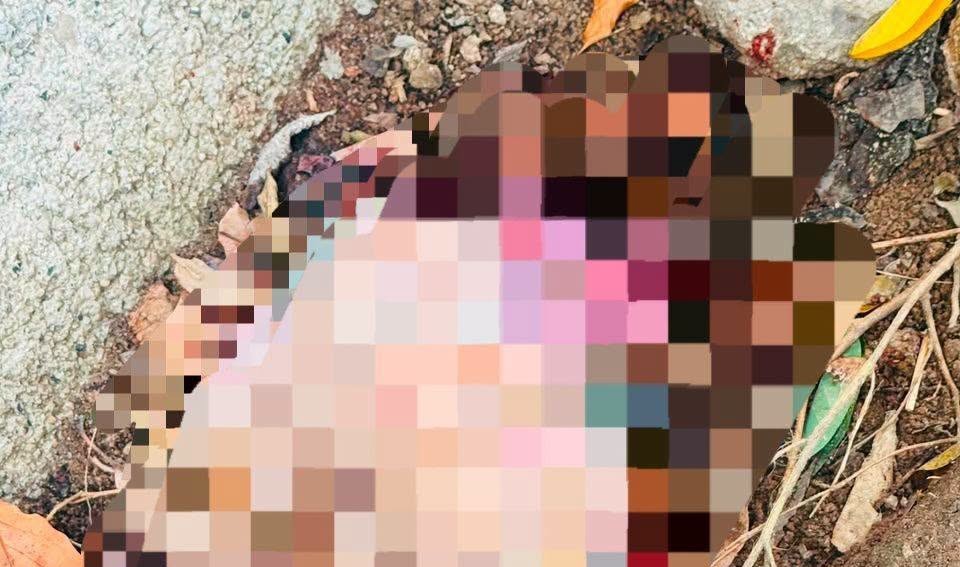 Imagen de cuerpo de nota