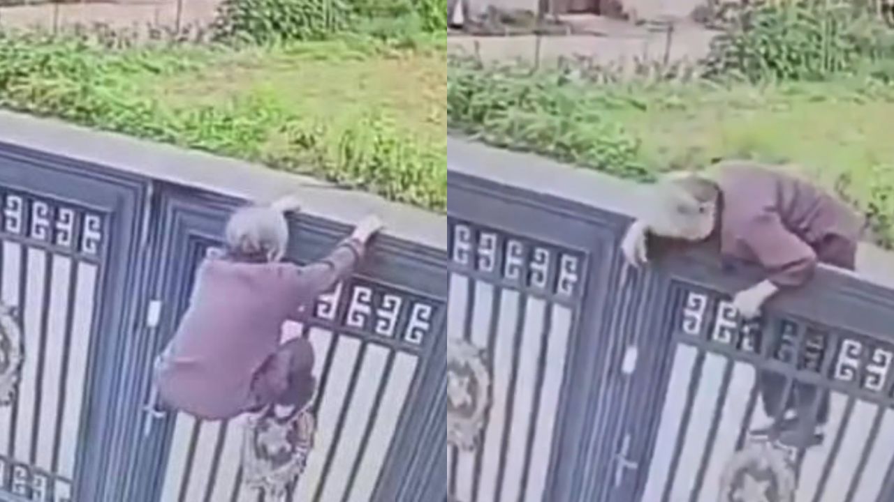 ¡En 24 segundos! Anciana de 92 años escapó de asilo al saltar portón de 2 metros Imagen principal de ¡En 24 segundos! Anciana de 92 años escapó de asilo al saltar portón de 2 metros