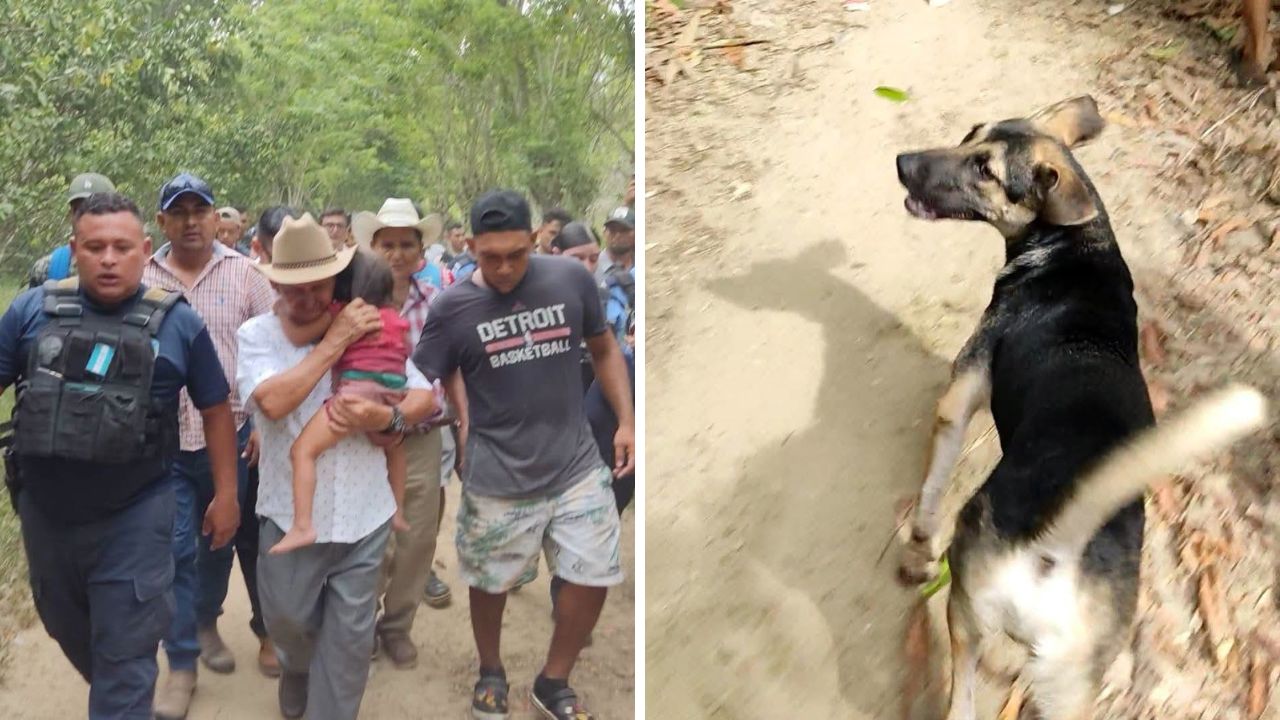 Así fue como perrito 'Guardián' ayudó a encontrar a niña de 3 años desaparecida Imagen principal de Así fue como perrito 'Guardián' ayudó a encontrar a niña de 3 años desaparecida