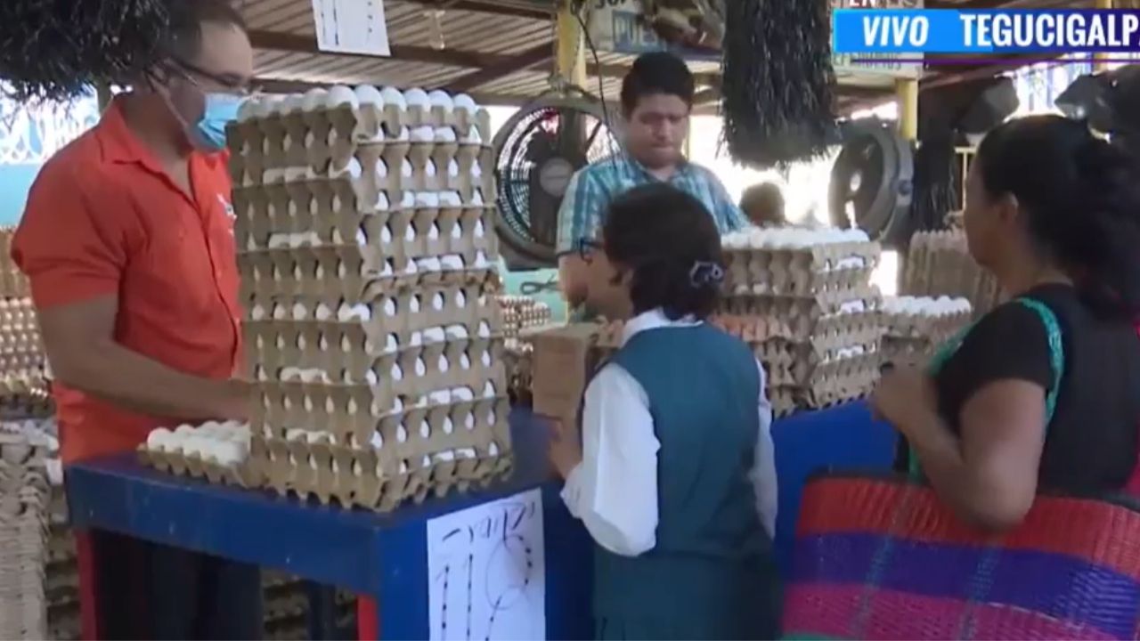 Impacto al bolsillo: cartón de huevos sube 14 lempiras en la Feria del Agricultor Imagen principal de Impacto al bolsillo: cartón de huevos sube 14 lempiras en la Feria del Agricultor