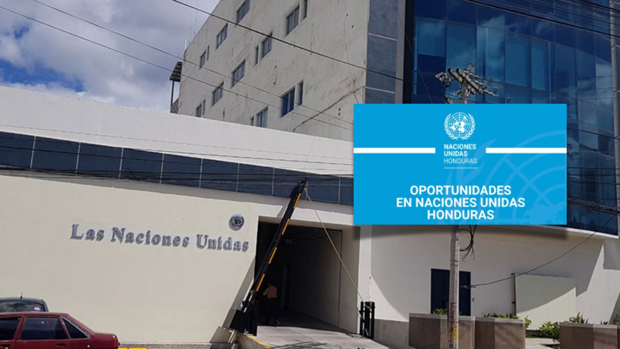 ¿En busca de empleo? La ONU ofrece estas plazas laborales en Honduras Imagen principal de ¿En busca de empleo? La ONU ofrece estas plazas laborales en Honduras