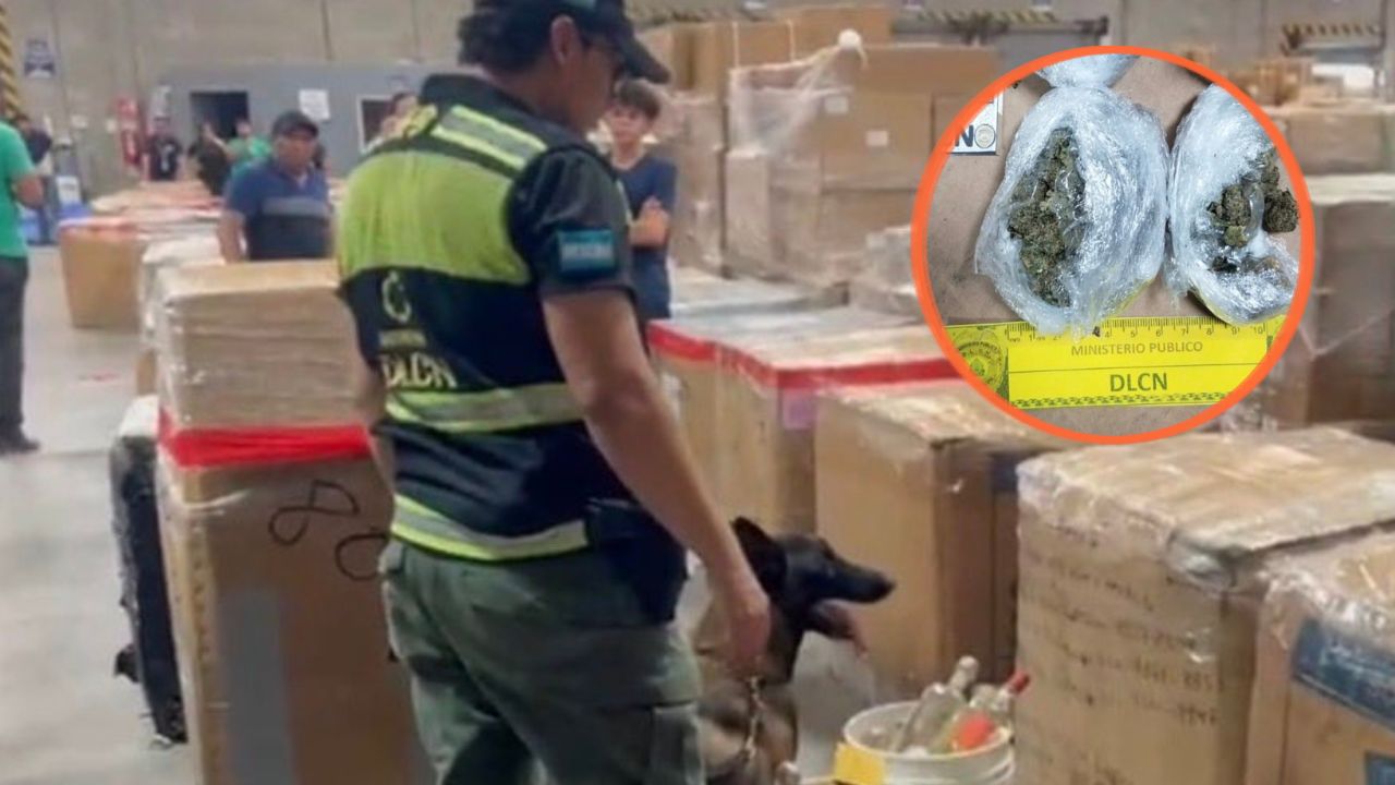 Imagen de Canino de la DLCN olfatea y descubre marihuana escondida en encomienda en SPS