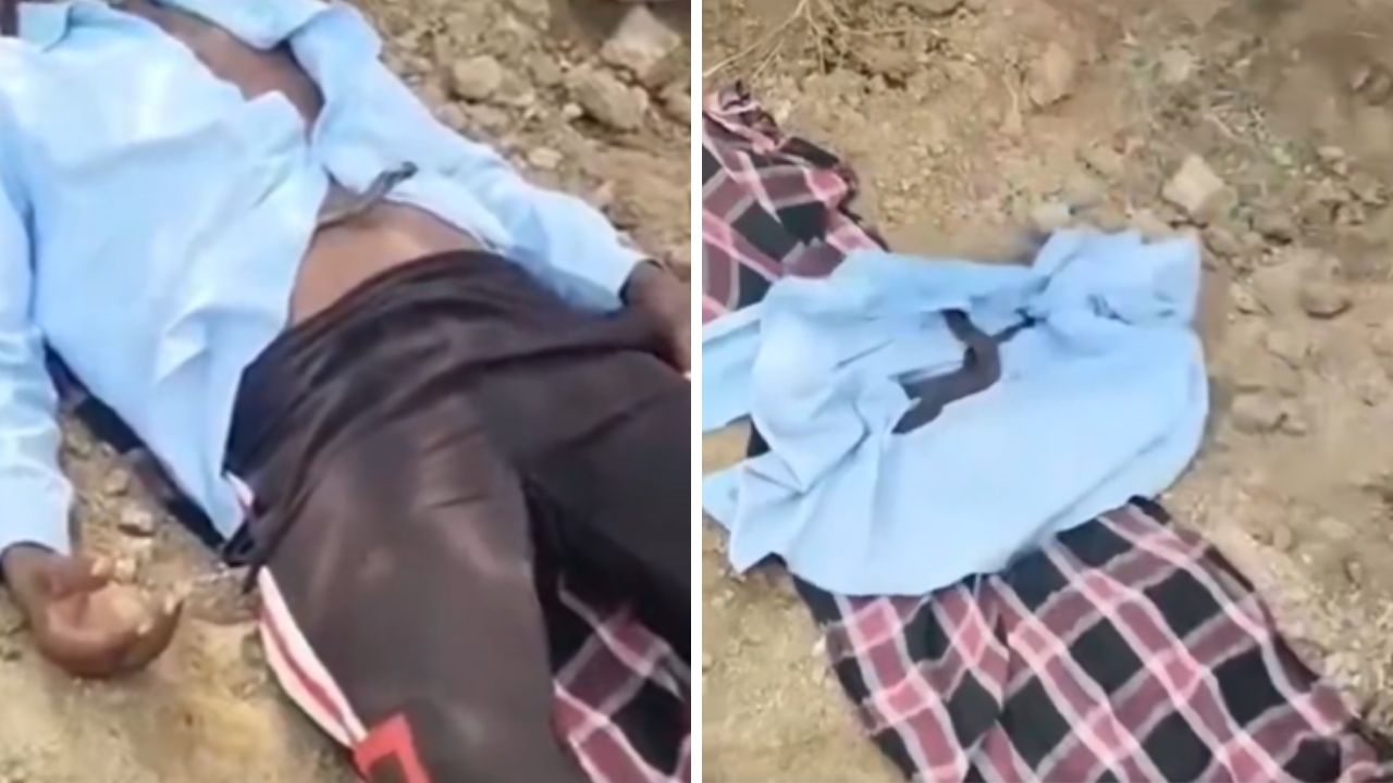 Video: Serpiente venenosa se le introduce a agricultor cuando este tomaba una siesta Imagen principal de Video: Serpiente venenosa se le introduce a agricultor cuando este tomaba una siesta