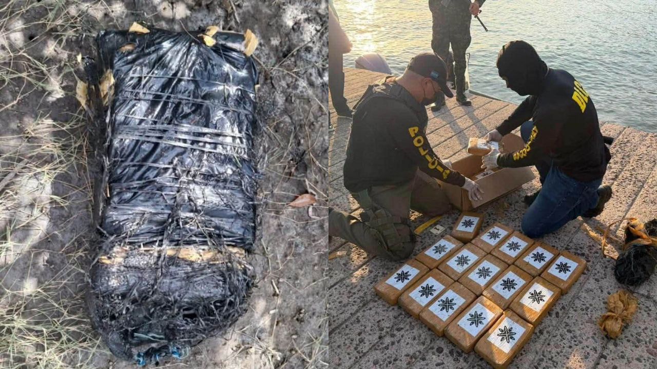 20 kilos más de 'coca' en manglares: ¿qué relación tendrían con decomisos anteriores? Imagen principal de 20 kilos más de 'coca' en manglares: ¿qué relación tendrían con decomisos anteriores?