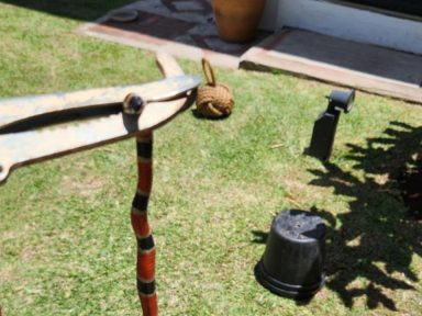 Imagen de Serpiente venenosa sorprende a familia en colonia de Tegucigalpa