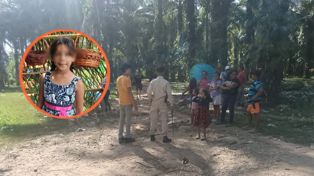Hallan muerta a niña desaparecida en Sabá; estaba entre bolsas en una plantación de palma Imagen principal de Hallan muerta a niña desaparecida en Sabá; estaba entre bolsas en una plantación de palma