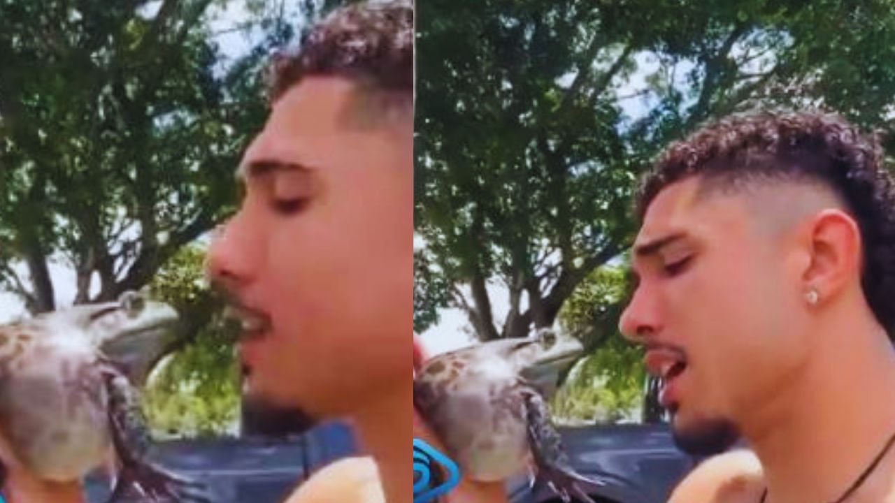 'Lo que hacen por likes': Video de joven besando a enorme sapo causa indignación Imagen principal de 'Lo que hacen por likes': Video de joven besando a enorme sapo causa indignación