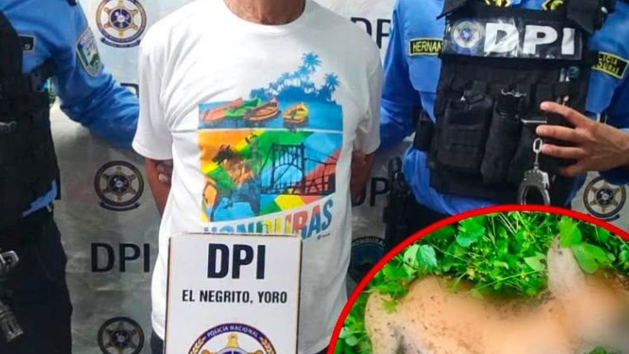 Hombre de 76 años es acusado de matar de un disparo a perro tras pelea con su mascota Imagen principal de Hombre de 76 años es acusado de matar de un disparo a perro tras pelea con su mascota