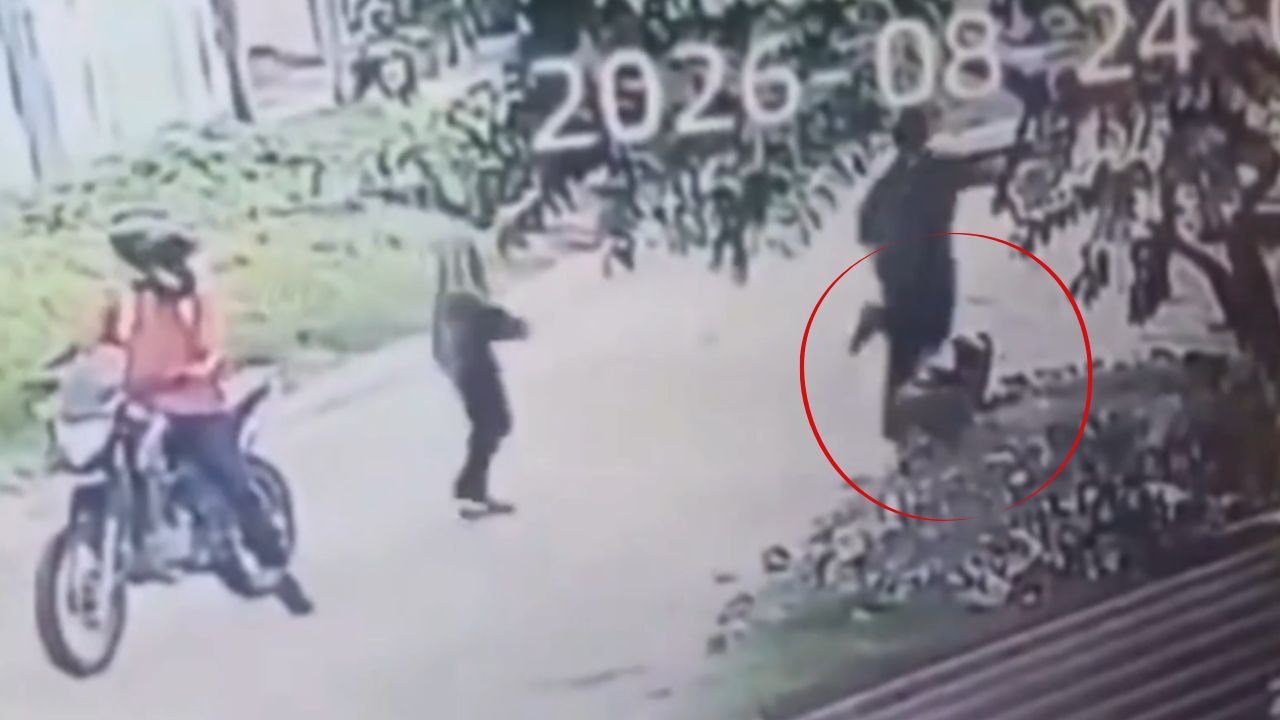 Vídeo: Joven intentó huir de asalto, tropezó con raíz de árbol y lo despojaron de todo Imagen principal de Vídeo: Joven intentó huir de asalto, tropezó con raíz de árbol y lo despojaron de todo