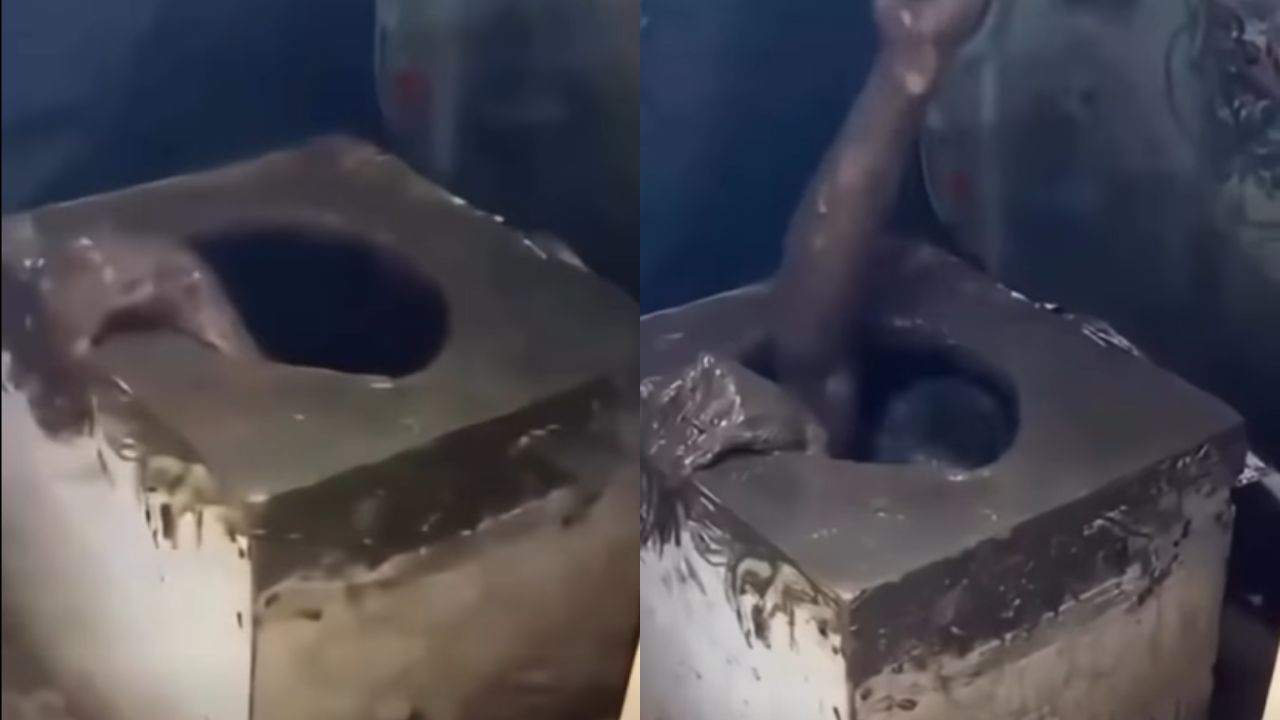 Video insólito: ladrón se esconde en una letrina y termina atrapado Imagen principal de Video insólito: ladrón se esconde en una letrina y termina atrapado