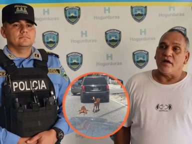 Imagen de Dejan en libertad al hombre que arrastró a un perro amarrado a su vehículo: ¿Qué sucedió?