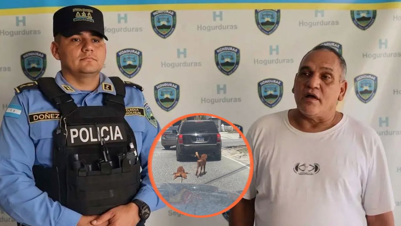 Quedó en libertad el hombre que fue captado arrastrando a un perro: ¿Qué sucedió? Imagen principal de Quedó en libertad el hombre que fue captado arrastrando a un perro: ¿Qué sucedió?