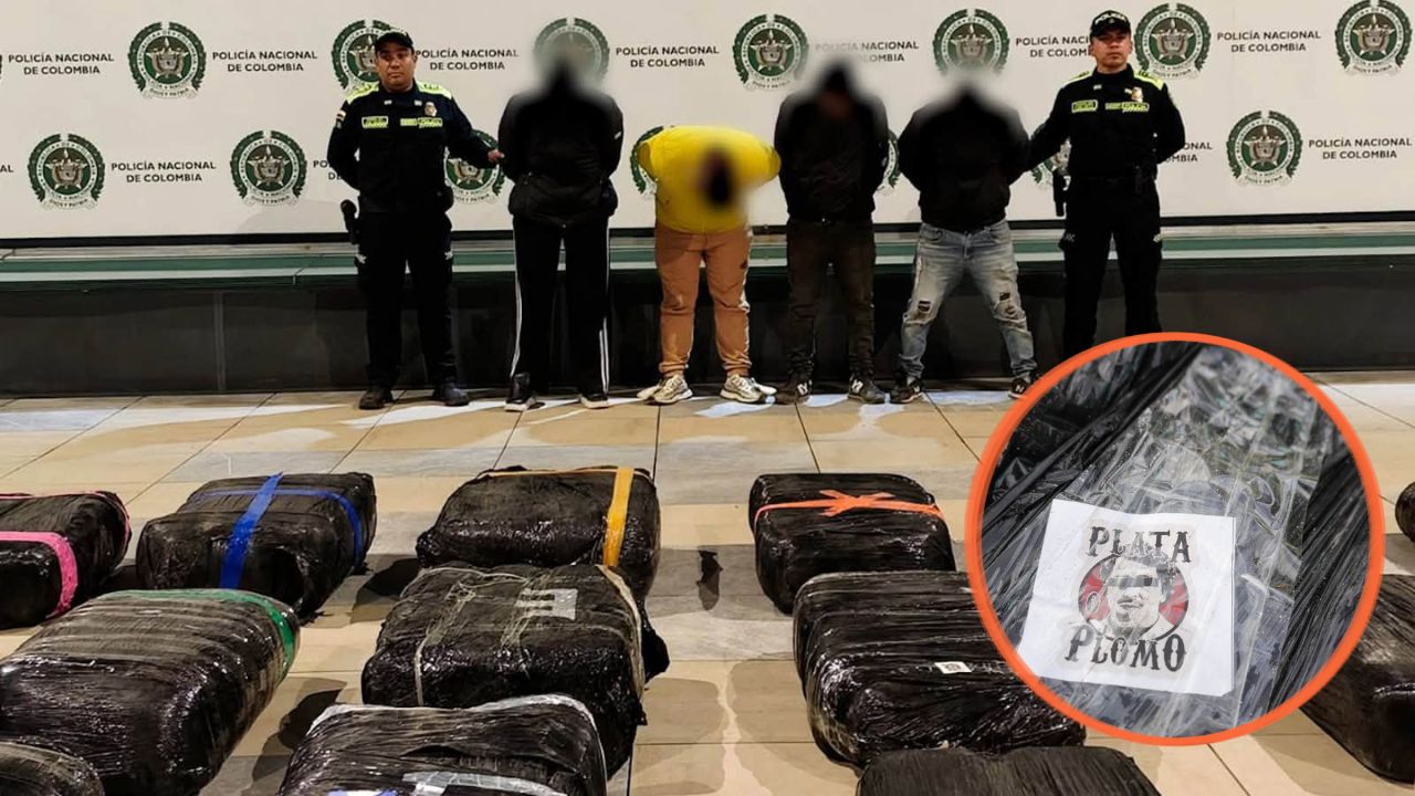 En fundación para mascotas ocultaban toneladas de marihuana en Colombia Imagen principal de En fundación para mascotas ocultaban toneladas de marihuana en Colombia