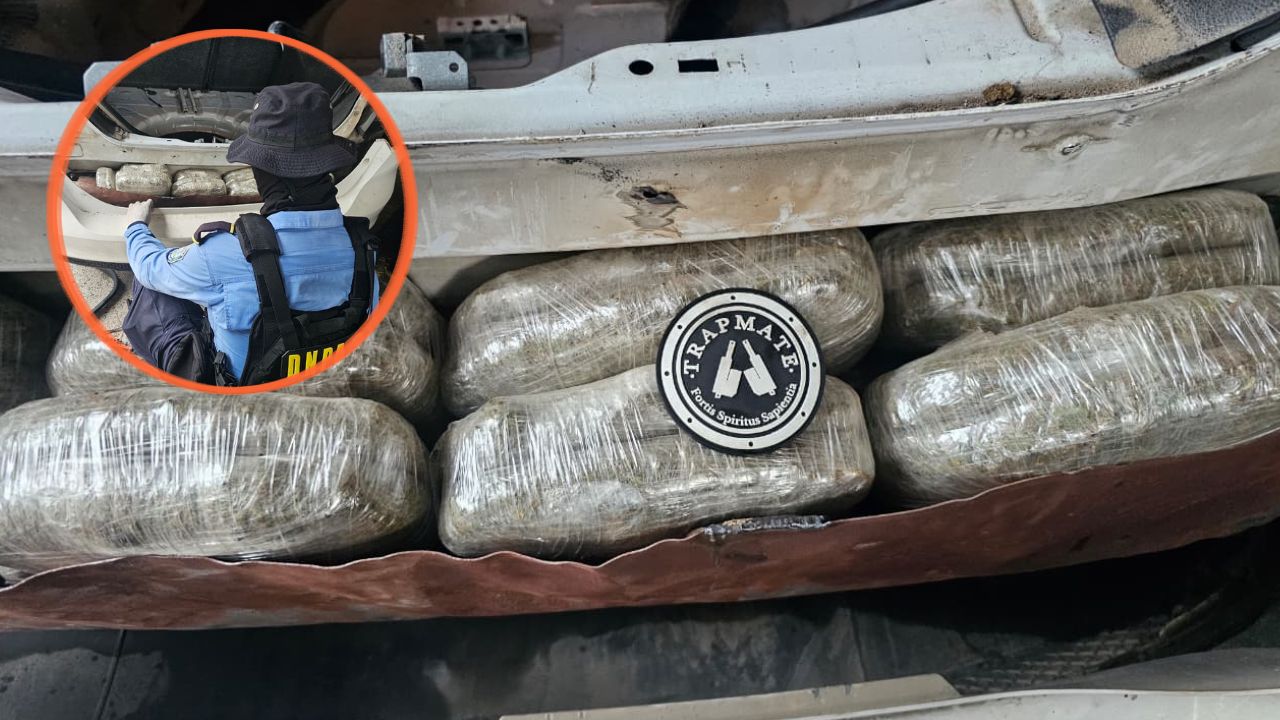 Ingeniosa maniobra para transportar marihuana queda al descubierto en La Ceiba Imagen principal de Ingeniosa maniobra para transportar marihuana queda al descubierto en La Ceiba