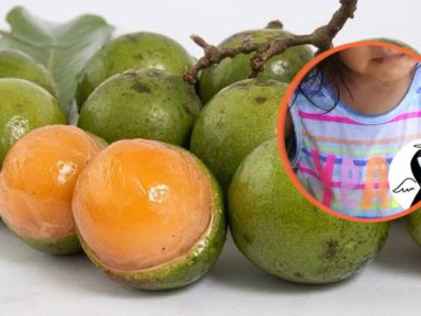 Imagen de Una semilla de mamón le arrebató la vida a una niña en Cortés