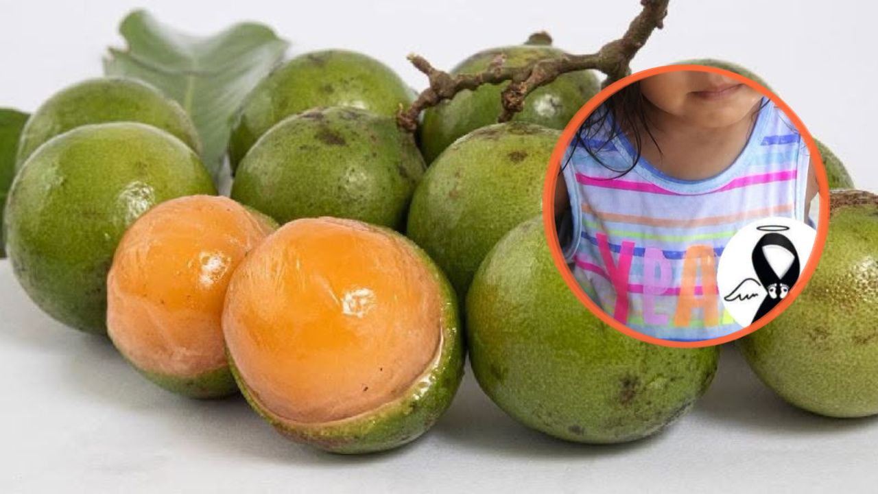 Una semilla de mamón le arrebató la vida a una niña en Cortés Imagen principal de Una semilla de mamón le arrebató la vida a una niña en Cortés